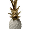location décoration exotique ananas