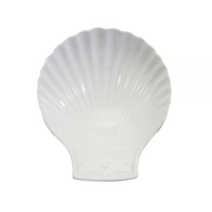 Coquille porcelaine